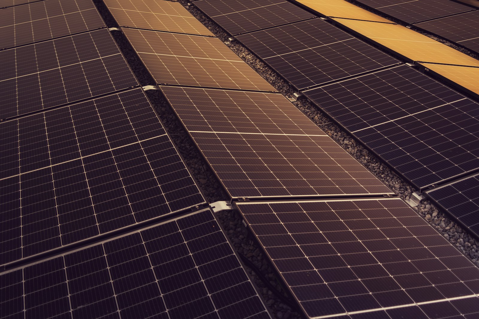 Rows of solar panels on a commercial roof